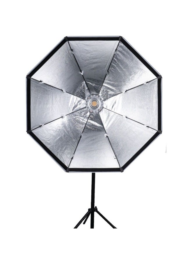 Aputure Light OctaDome 120 Bowens Mount Octagonal Softbox with Grid (47.2