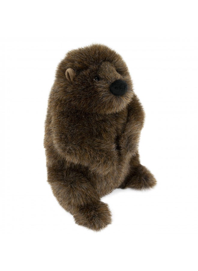 Douglas Chuckwood Groundhog Plush Stuffed Animal