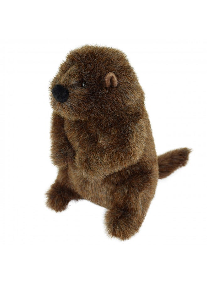 Douglas Chuckwood Groundhog Plush Stuffed Animal