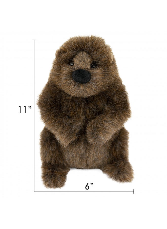 Douglas Chuckwood Groundhog Plush Stuffed Animal