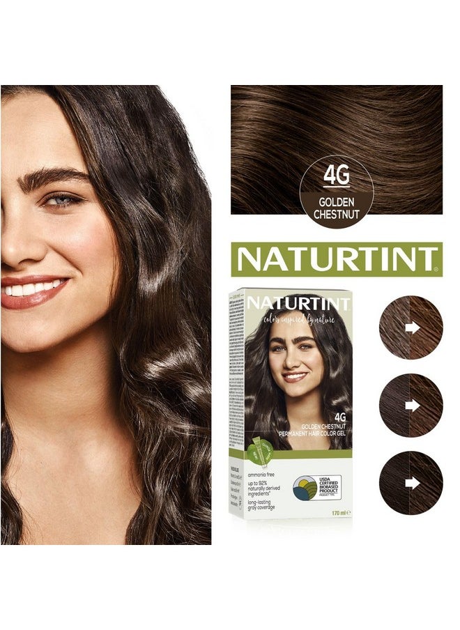 Permanent Hair Colour Golden Brown 4G | 92% Natural Ingredients | 100% Grey Coverage Long Lasting Hair Colour | Usda Certified | Ammonia Free Vegan Hair Color Gel - 4G Golden Chestnut