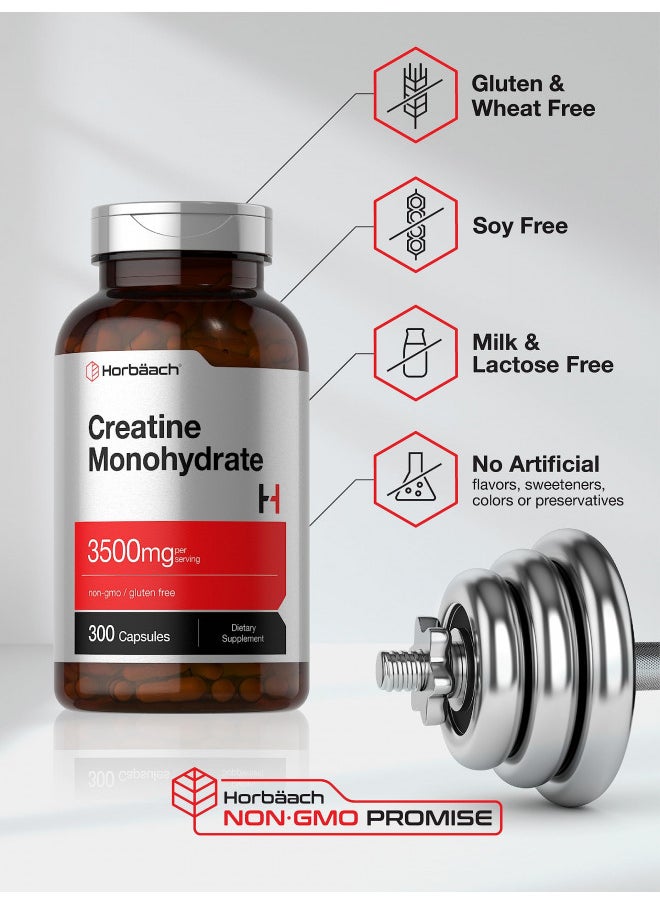 Horbäach Creatine Monohydrate Capsules | 3500mg | 300 Count | Non-GMO and Gluten Free Supplement