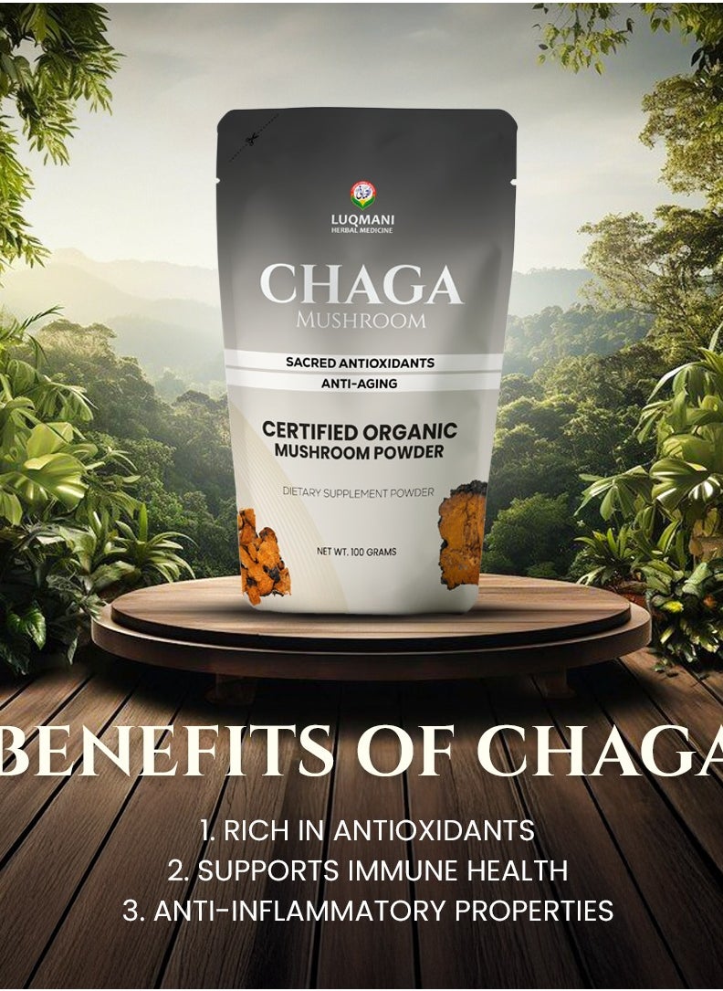 Chaga Mushroom Powder 100Gram For Smoothies and Drinks