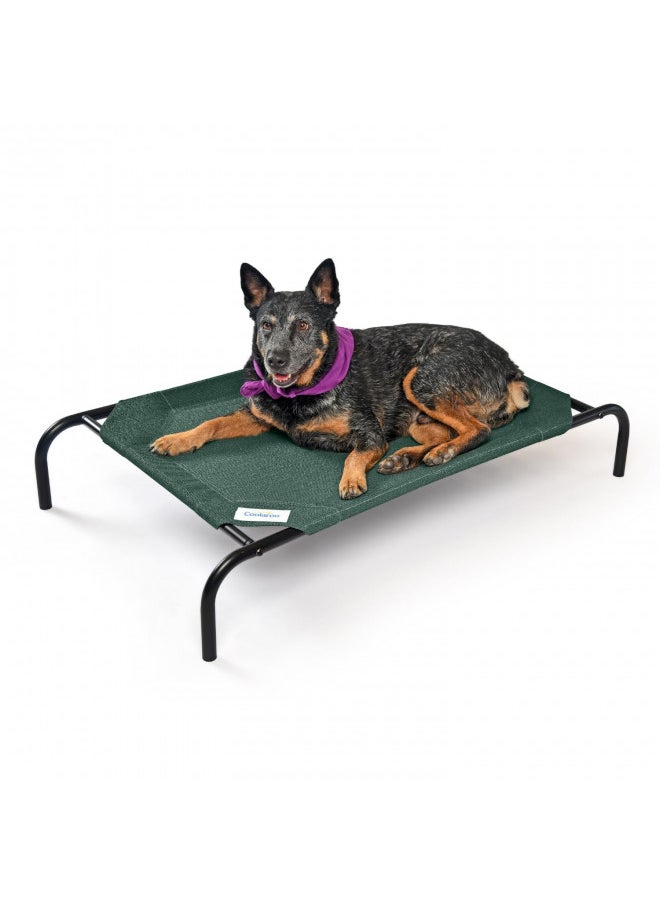Coolaroo The Original Cooling Elevated Pet Bed, Medium, Brunswick Green