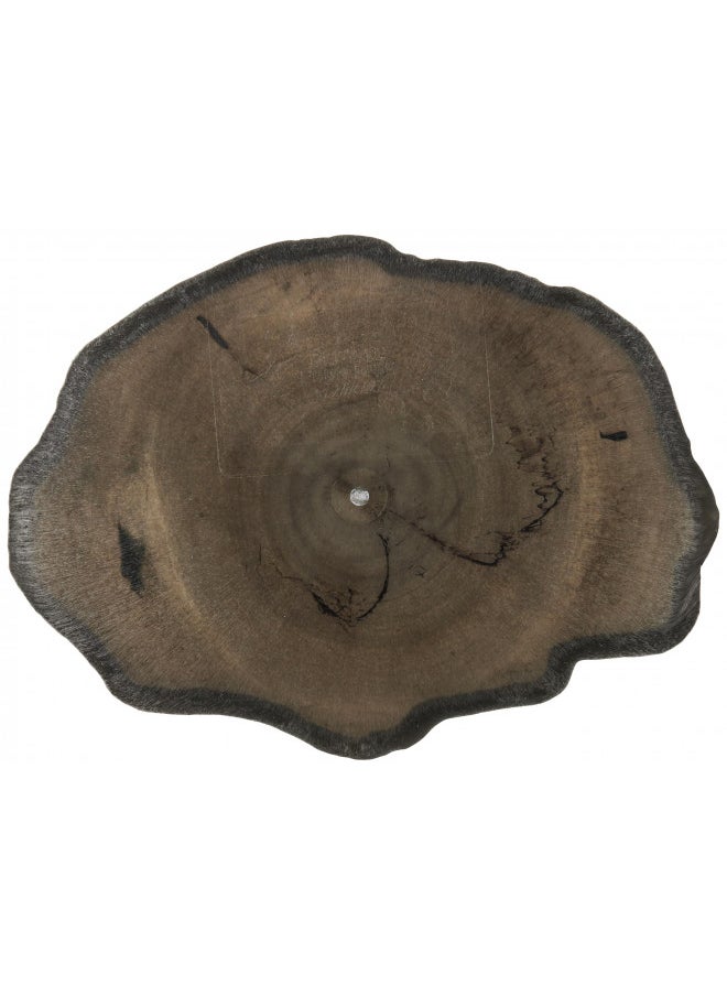 Zoo Med Reptile Rock Food Dish, X Large