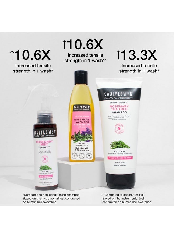Rosemary Hair Growth Kit, Rosemary Lavender Hair Oil (120 Ml) Rosemary Tea Tree Shampoo (200 Ml) Rosemary Water With Mint Extract (100 Ml) Healthy Hair Growth, Hair Fall Control, Strengthens Hair & Scalp