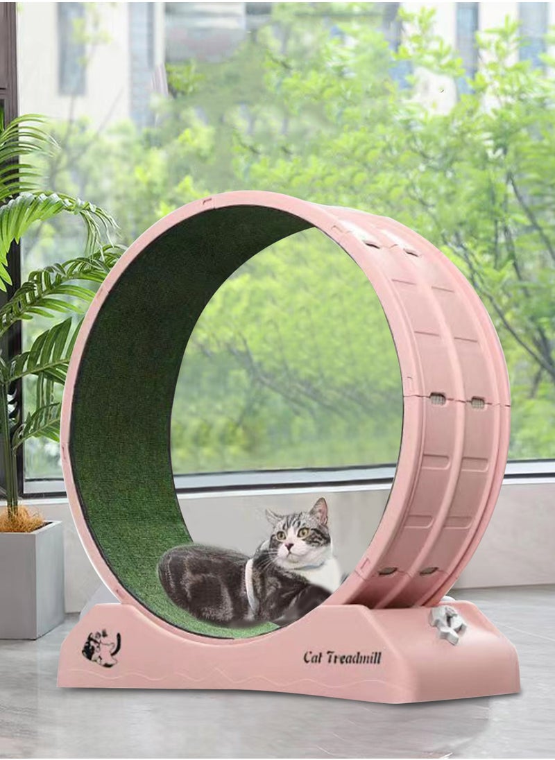 Portable Lightweight Cat Treadmill Cat Exercise Wheel for Fitness and Health Foldable Cat Running Wheel for Indoor Cats Suits for Most Cats