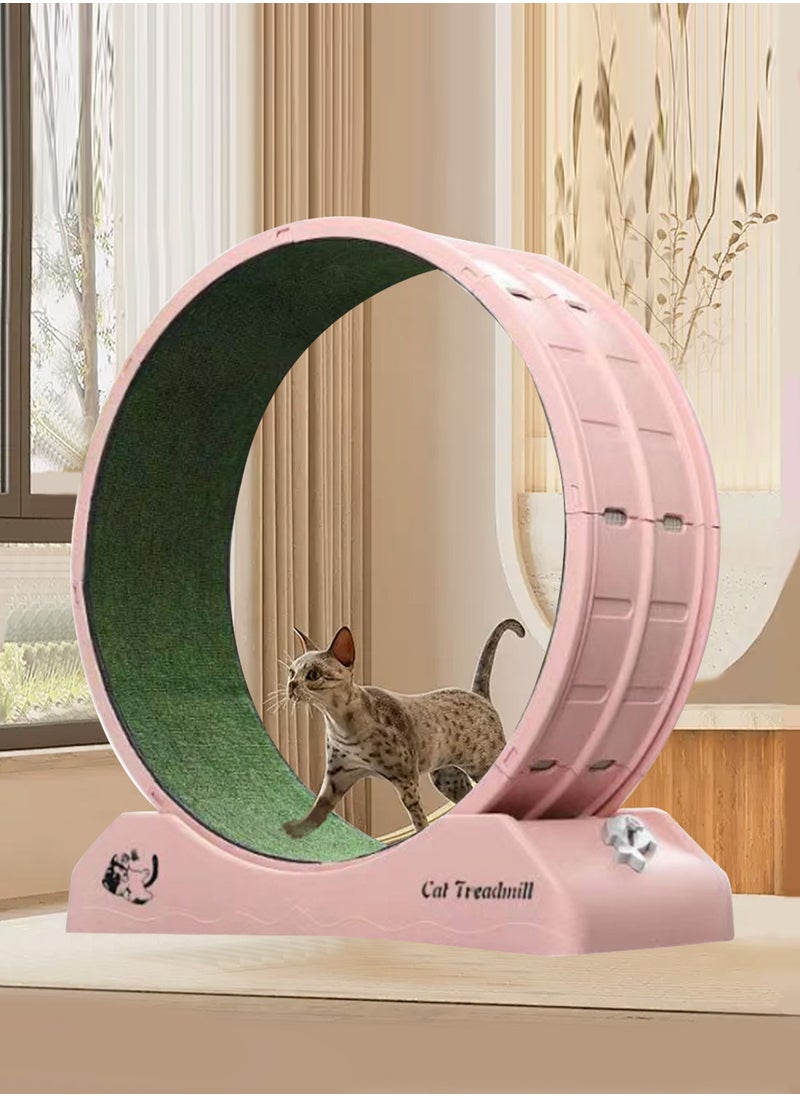 Portable Lightweight Cat Treadmill Cat Exercise Wheel for Fitness and Health Foldable Cat Running Wheel for Indoor Cats Suits for Most Cats