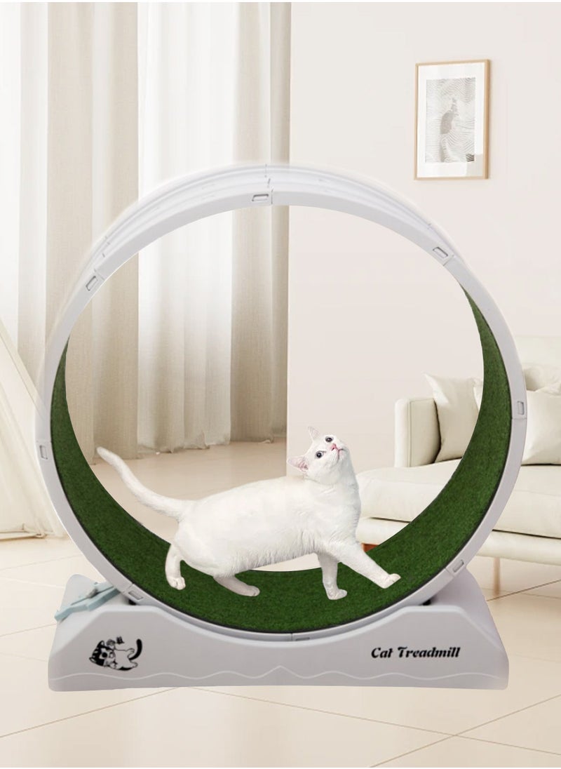 Portable Lightweight Cat Treadmill Cat Exercise Wheel for Fitness and Health Foldable Cat Running Wheel for Indoor Cats Suits for Most Cats