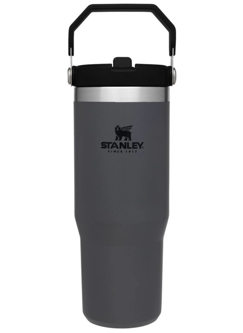 Stanley Large Capacity Insulated Water Bottle