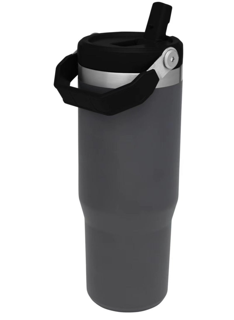 Stanley Large Capacity Insulated Water Bottle