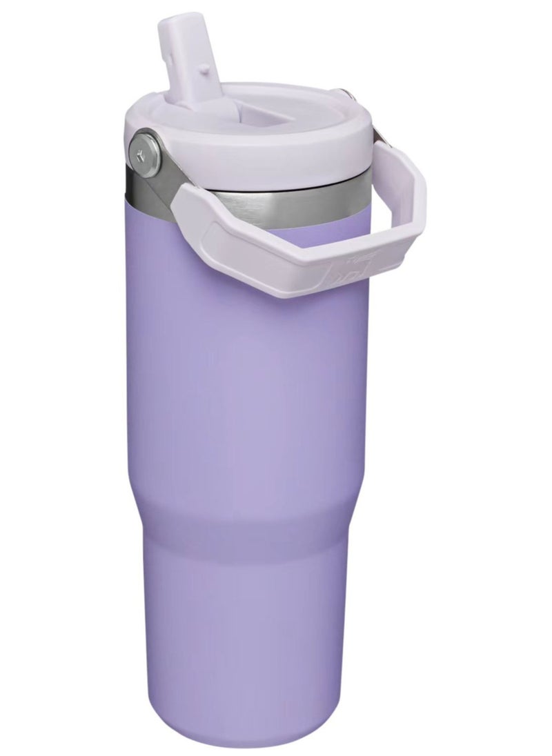 Stanley Large Capacity Insulated Water Bottle