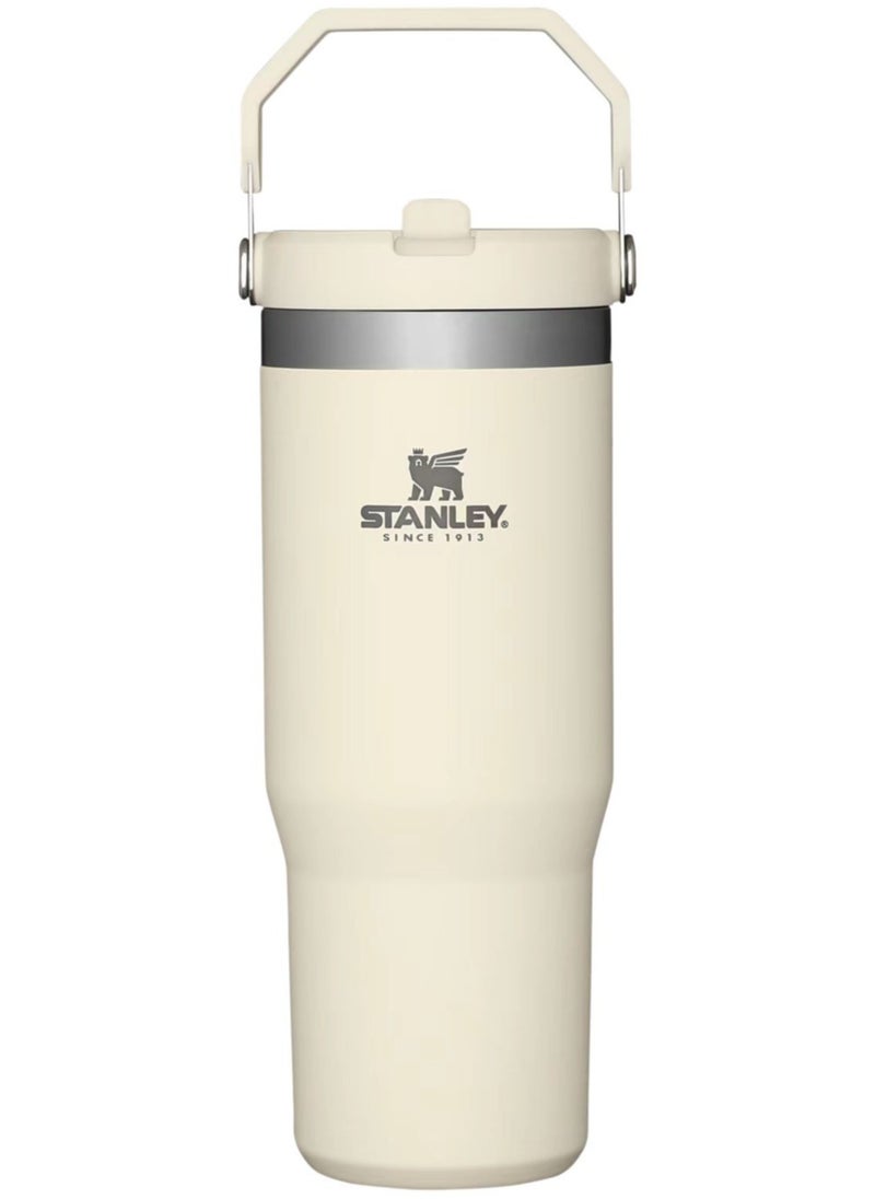 Stanley Large Capacity Insulated Water Bottle