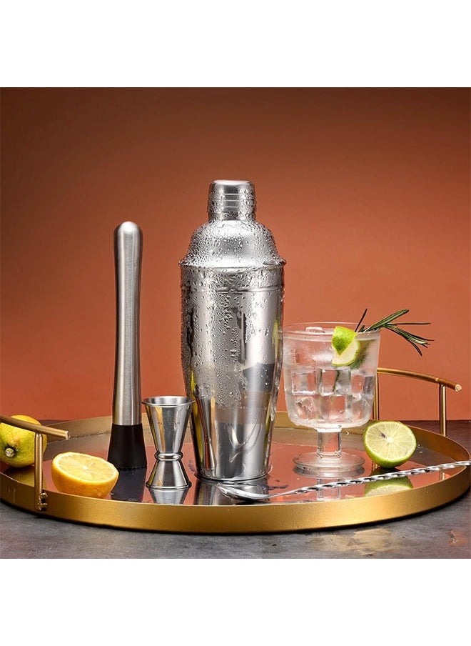 6pcs Shaker Mixer Set, Stainless Steel Juice Coffee Beverages Making Tool Kit for Home Cafe Use 550ml