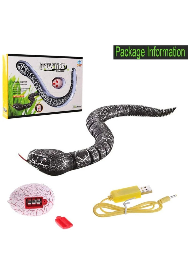 Remote Control Snake Toy, 16