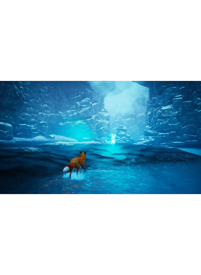 Spirit of The North - PlayStation 5 Standard Edition