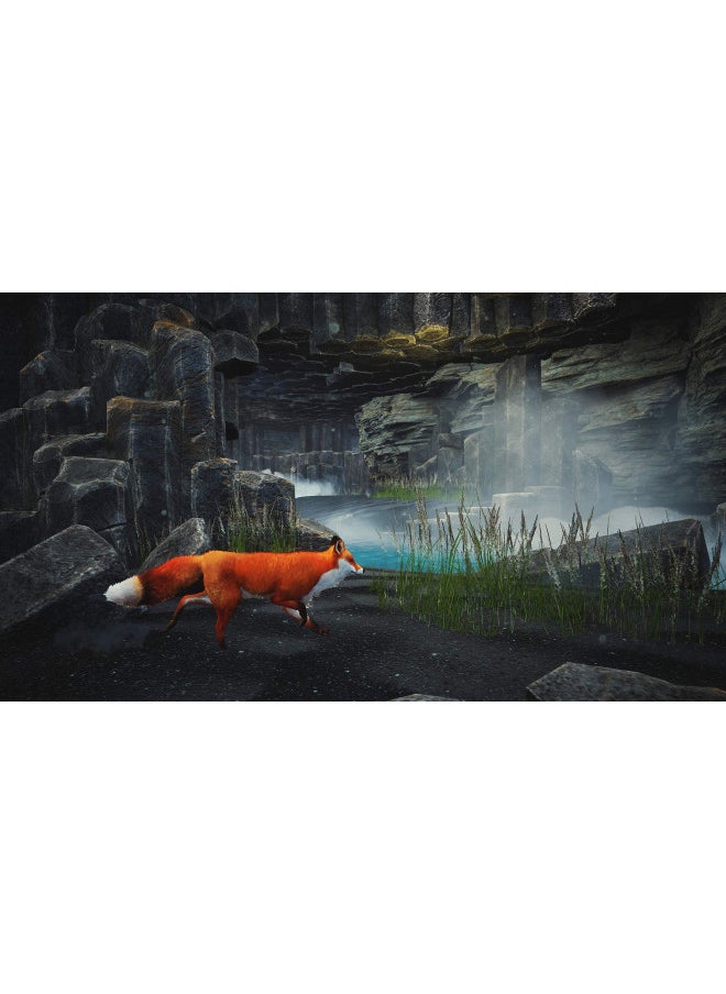 Spirit of The North - PlayStation 5 Standard Edition