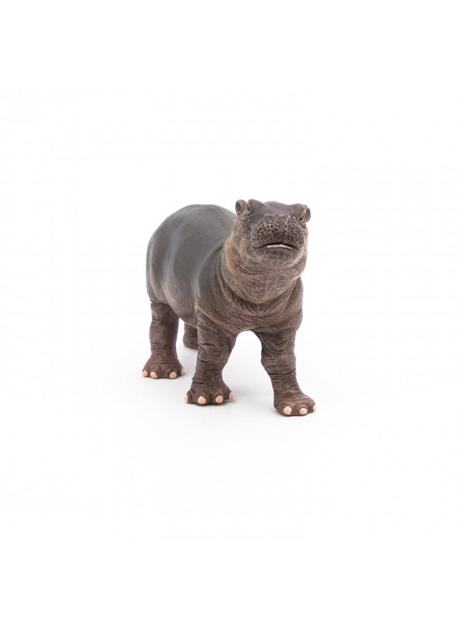 Papo -Hand-Painted - Figurine -Wild Animal Kingdom - Hippopotamus Calf -50052 -Collectible - for Children - Suitable for Boys and Girls- from 3 Years Old