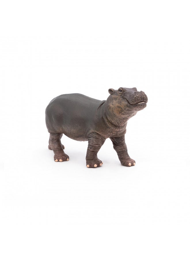 Papo -Hand-Painted - Figurine -Wild Animal Kingdom - Hippopotamus Calf -50052 -Collectible - for Children - Suitable for Boys and Girls- from 3 Years Old