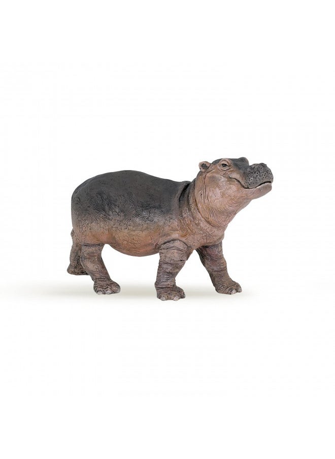 Papo -Hand-Painted - Figurine -Wild Animal Kingdom - Hippopotamus Calf -50052 -Collectible - for Children - Suitable for Boys and Girls- from 3 Years Old