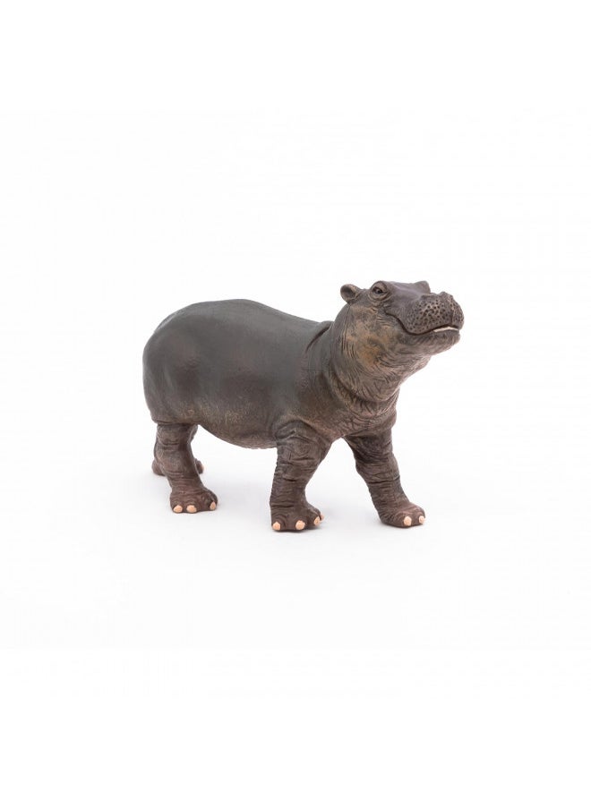 Papo -Hand-Painted - Figurine -Wild Animal Kingdom - Hippopotamus Calf -50052 -Collectible - for Children - Suitable for Boys and Girls- from 3 Years Old