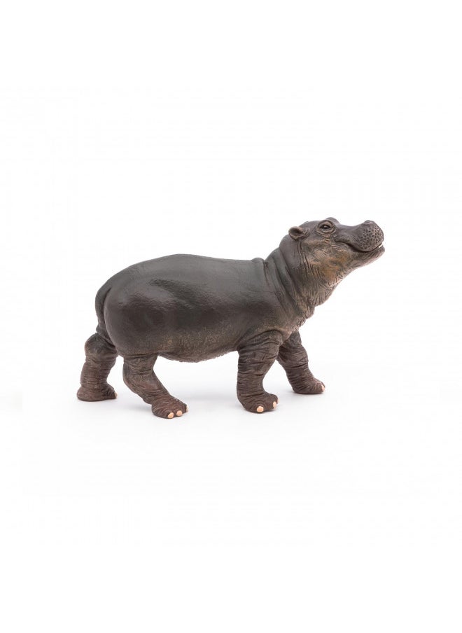 Papo -Hand-Painted - Figurine -Wild Animal Kingdom - Hippopotamus Calf -50052 -Collectible - for Children - Suitable for Boys and Girls- from 3 Years Old