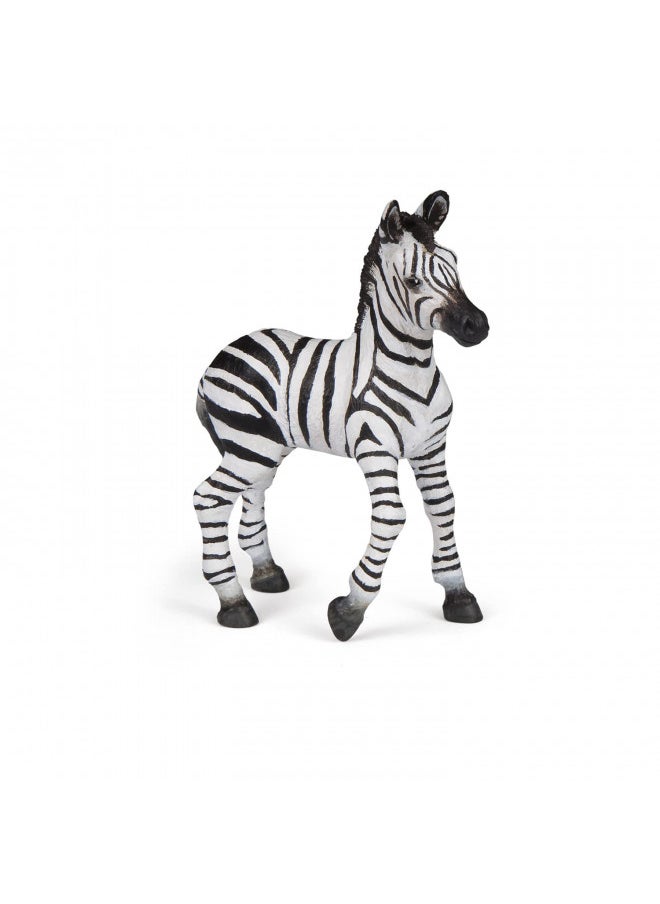 Papo -Hand-Painted - Figurine -Wild Animal Kingdom - Zebra Foal -50123 -Collectible - for Children - Suitable for Boys and Girls- from 3 Years Old