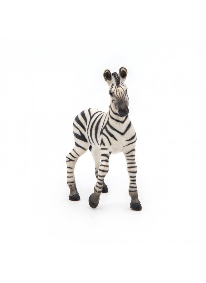 Papo -Hand-Painted - Figurine -Wild Animal Kingdom - Zebra Foal -50123 -Collectible - for Children - Suitable for Boys and Girls- from 3 Years Old