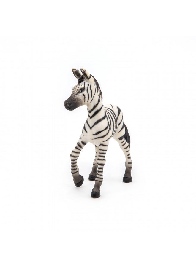 Papo -Hand-Painted - Figurine -Wild Animal Kingdom - Zebra Foal -50123 -Collectible - for Children - Suitable for Boys and Girls- from 3 Years Old