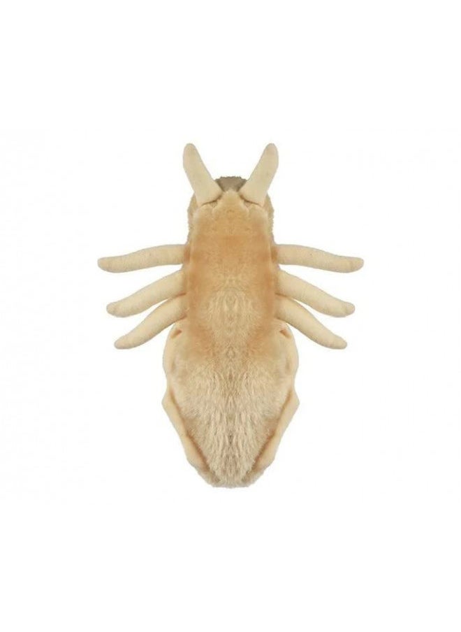 GIANT MICROBES Louse Plush Learn About Lice and How to Treat Them, Fun Educational Gift for Family, Friends Doctors, Nurses, Scientists, Insect Lovers and All with a Healthy Sense of Humor