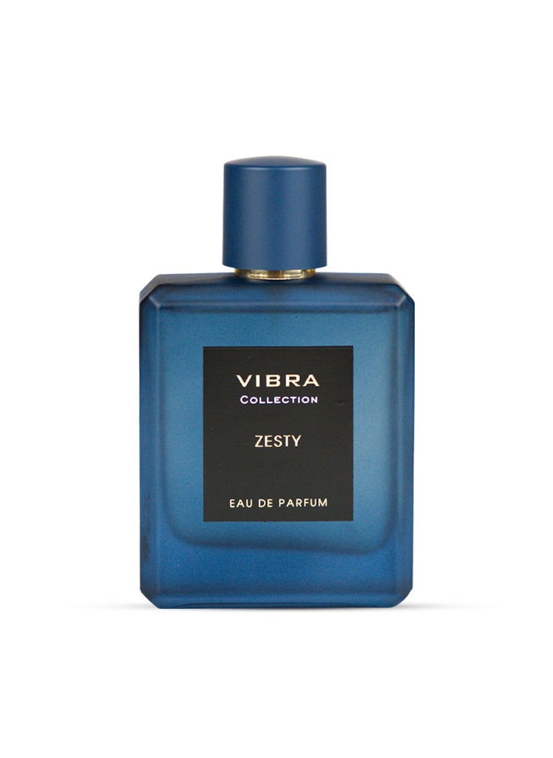 Divina Vibra Zesty EDP Long Lasting Men’s Perfume  100ml, Perfect Perfume For Every Day Use