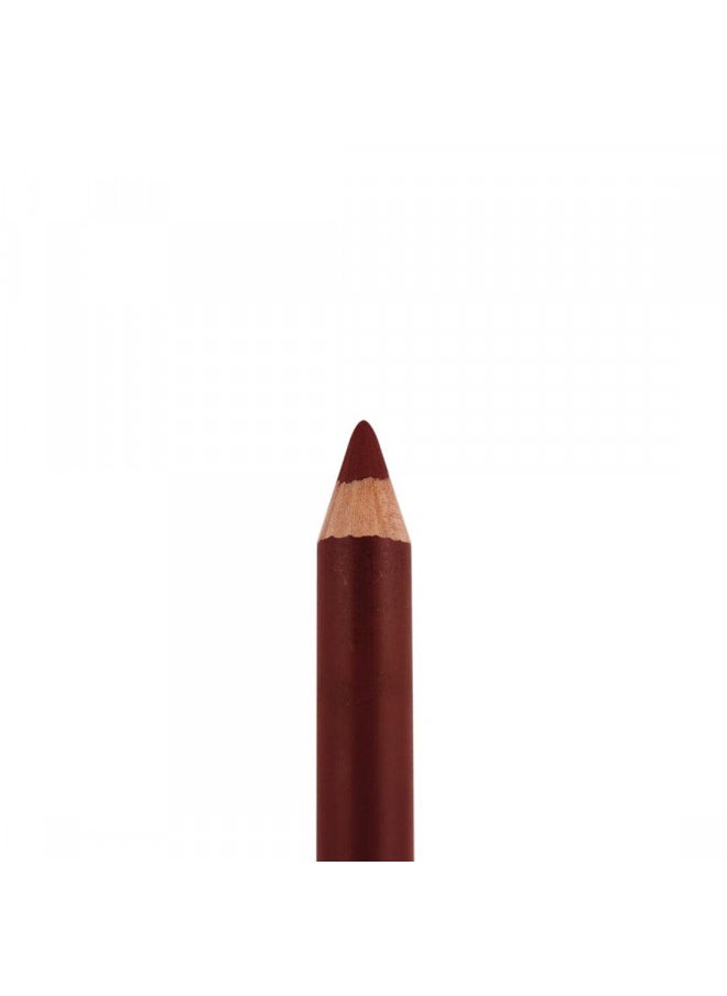 Palladio Lip Liner Pencil, Wooden, Firm yet Smooth, Contour and Line with Ease, Perfectly Outlined Lips, Comfortable, Hydrating, Moisturizing, Rich Pigmented Color, Long Lasting, Aubergine
