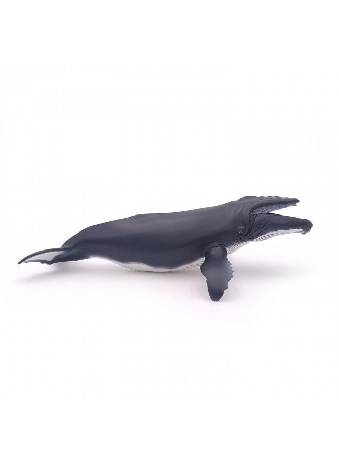 Papo - Hand-Painted - Figurine - Marine Life - Humpback Whale Figure-56001 - Collectible - for Children - Suitable for Boys and Girls - from 3 Years Old