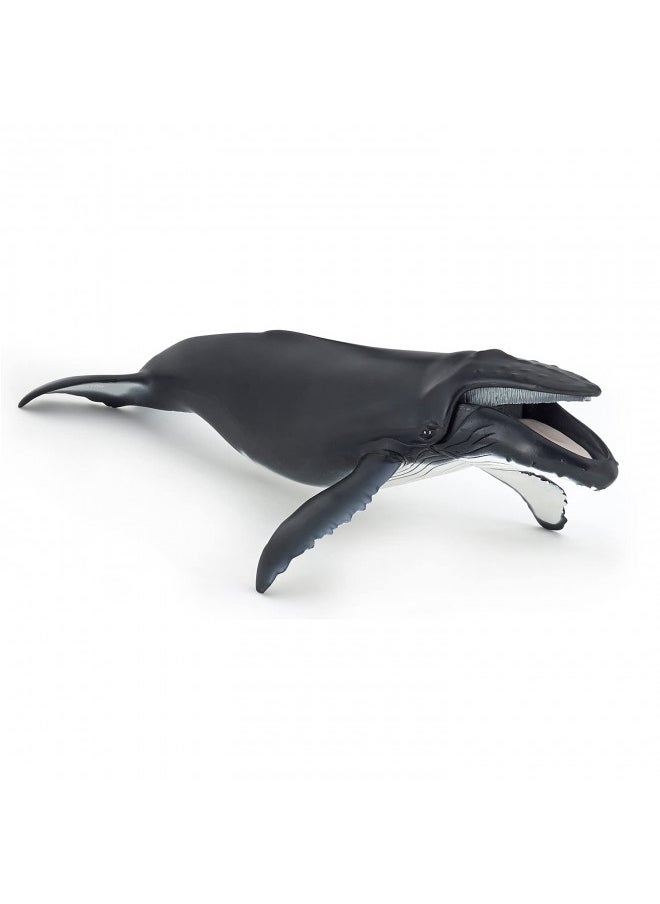 Papo - Hand-Painted - Figurine - Marine Life - Humpback Whale Figure-56001 - Collectible - for Children - Suitable for Boys and Girls - from 3 Years Old