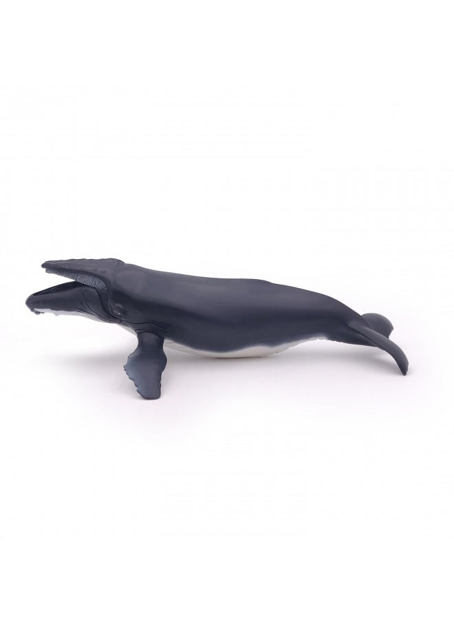 Papo - Hand-Painted - Figurine - Marine Life - Humpback Whale Figure-56001 - Collectible - for Children - Suitable for Boys and Girls - from 3 Years Old