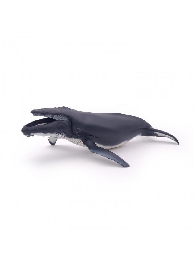 Papo - Hand-Painted - Figurine - Marine Life - Humpback Whale Figure-56001 - Collectible - for Children - Suitable for Boys and Girls - from 3 Years Old