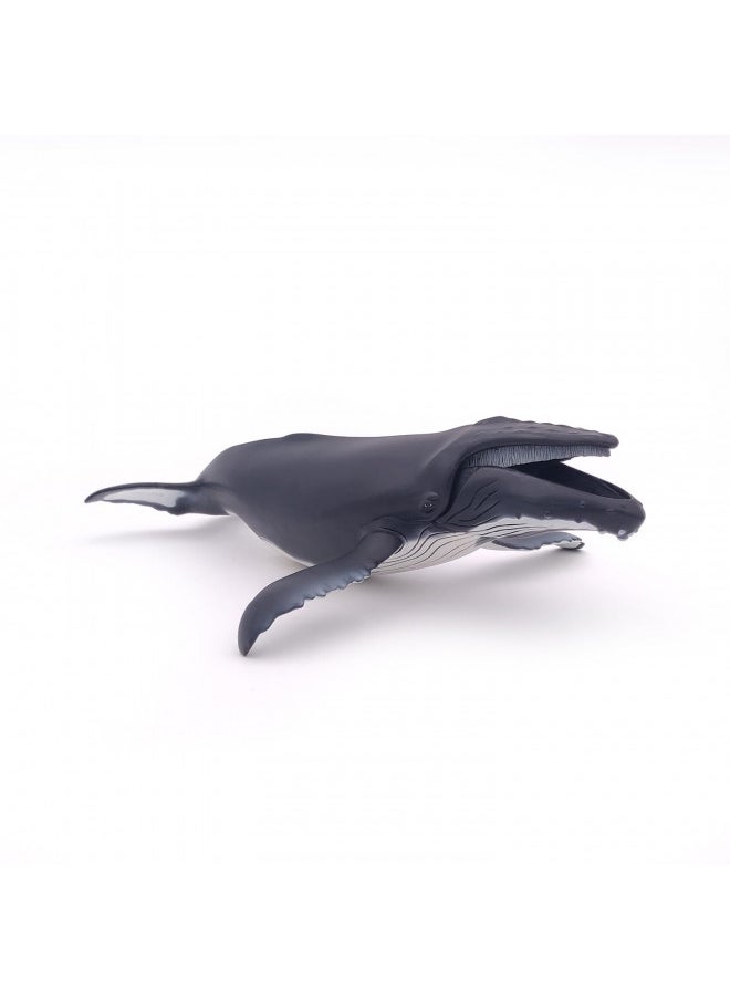 Papo - Hand-Painted - Figurine - Marine Life - Humpback Whale Figure-56001 - Collectible - for Children - Suitable for Boys and Girls - from 3 Years Old