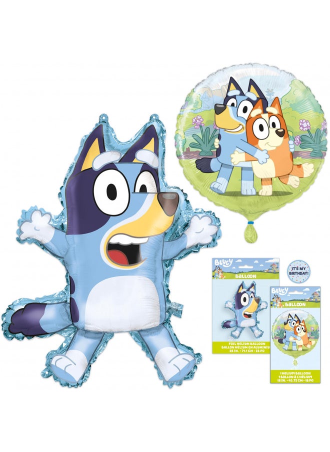 Bluey Birthday Party Supplies & Decorations | Large 28