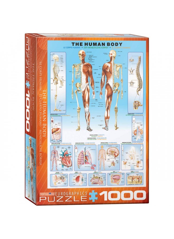 EuroGraphics Human Body Puzzle (1000-Piece)