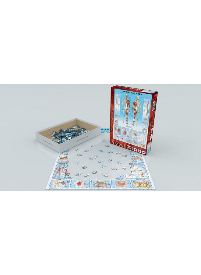 EuroGraphics Human Body Puzzle (1000-Piece)