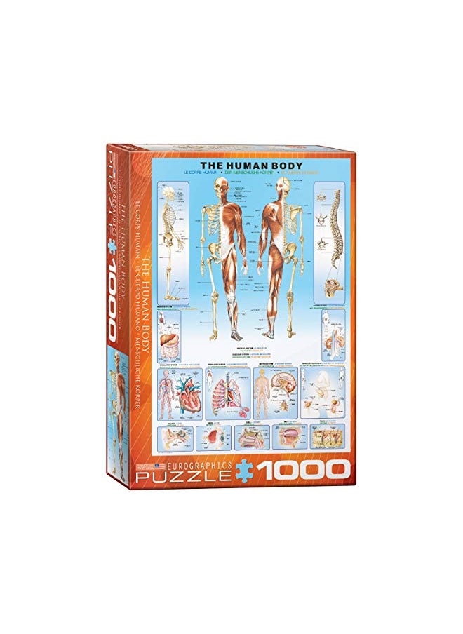 EuroGraphics Human Body Puzzle (1000-Piece)