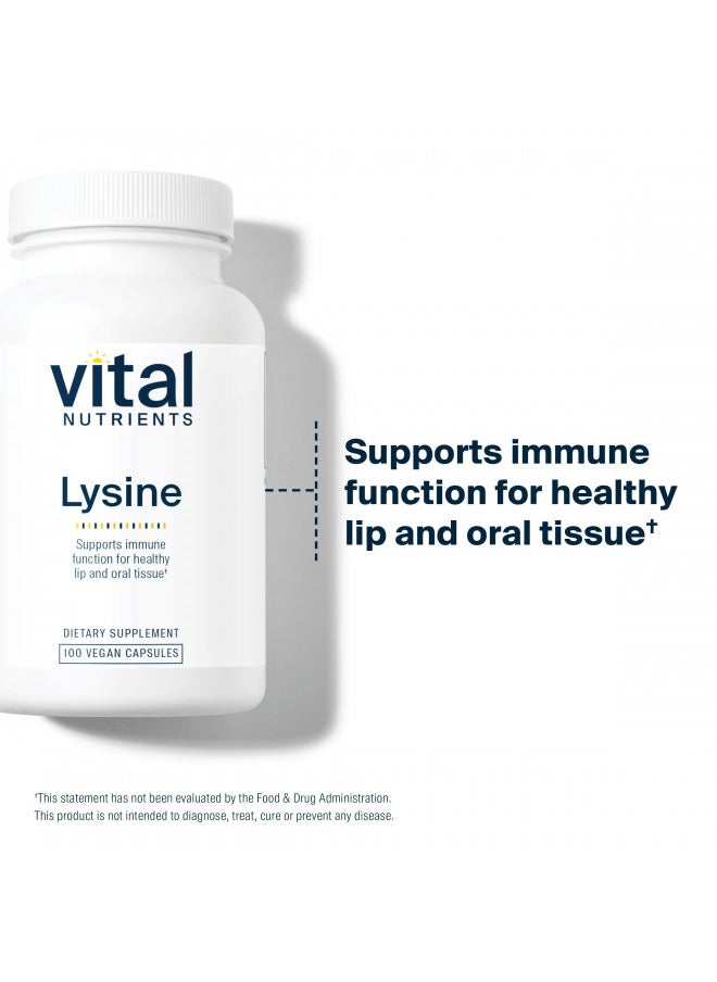 Vital Nutrients Lysine | Lysine Supplement Supports Healthy Lip and Oral Tissue | Immune Support Supplement Promotes Calcium Absorption | Gluten, Dairy, Soy Free | Non-GMO | 100 Capsules