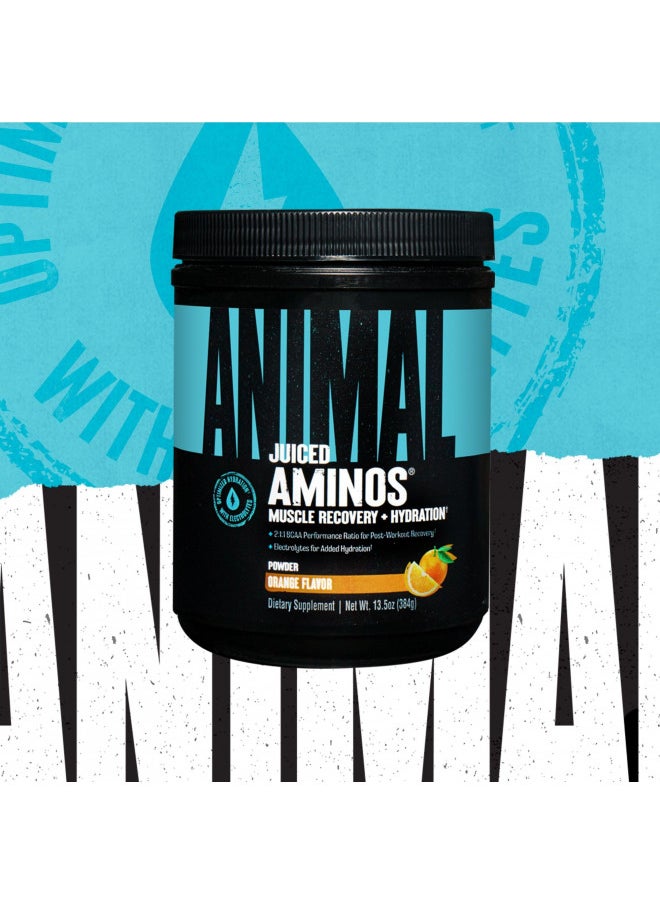 Animal Juiced Aminos - 6g BCAA/EAA Matrix plus 4g Amino Acid Blend for Recovery and Improved Performance - Orange - 30 Servings, 13.5 Ounce