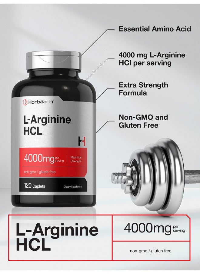 L-Arginine 4000mg | 120 Caplets | Maximum Strength Nitric Oxide Precursor | Vegetarian, Non-GMO, Gluten Free Supplement | by Horbaach