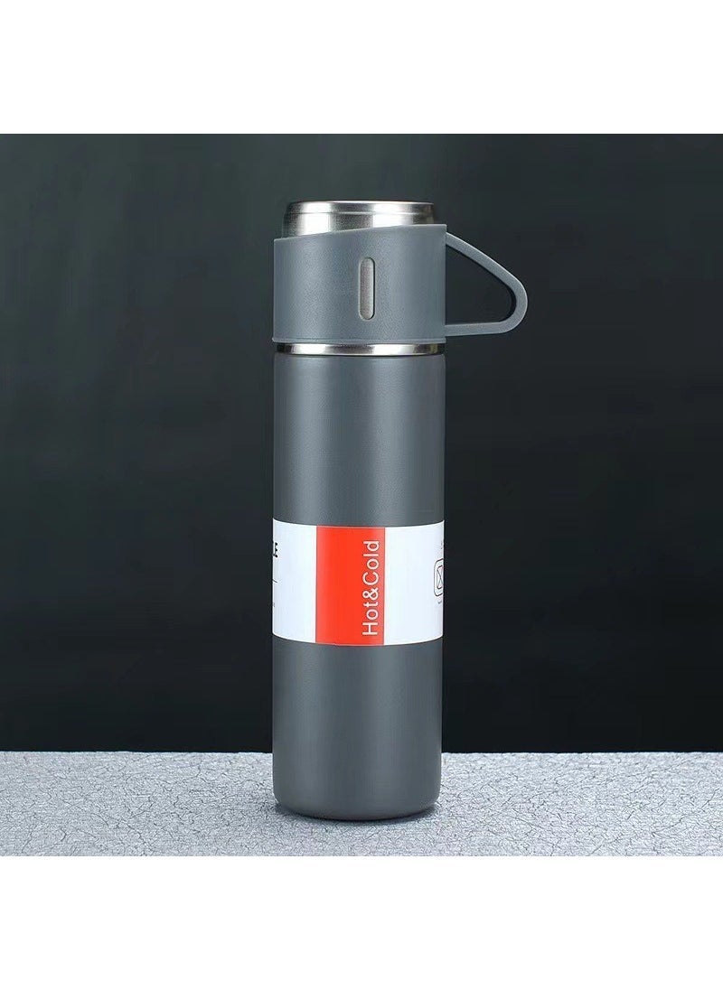 Stainless Steel Thermal Mug Set 500ml Tea Infusion gray single cup