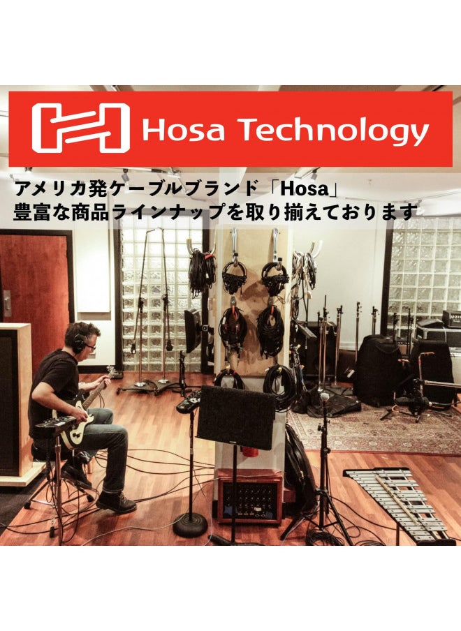 Hosa CPR-202 Dual 1/4