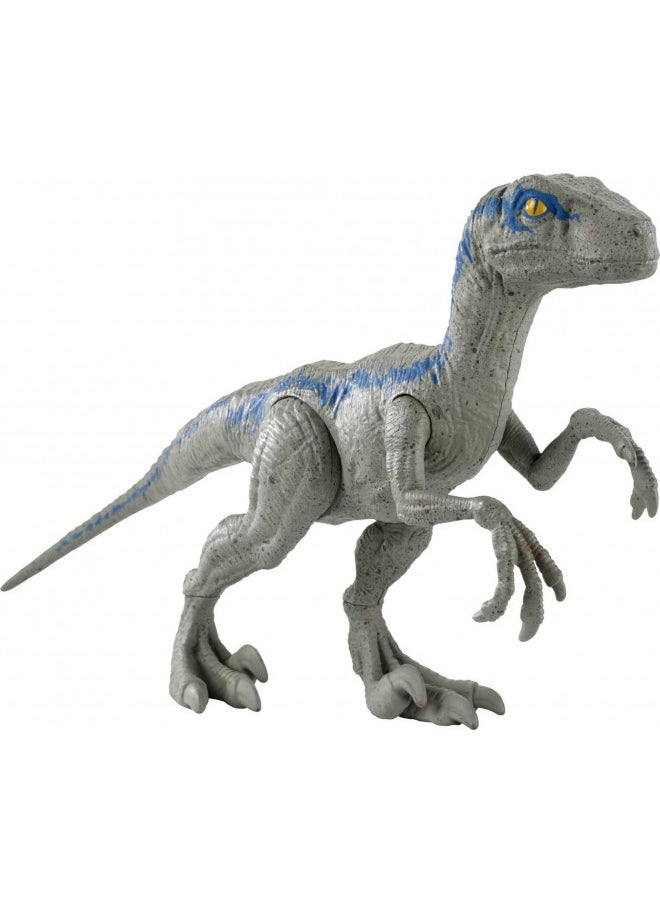 Mattel Jurassic World Toys Large Basic Velociraptor Blue