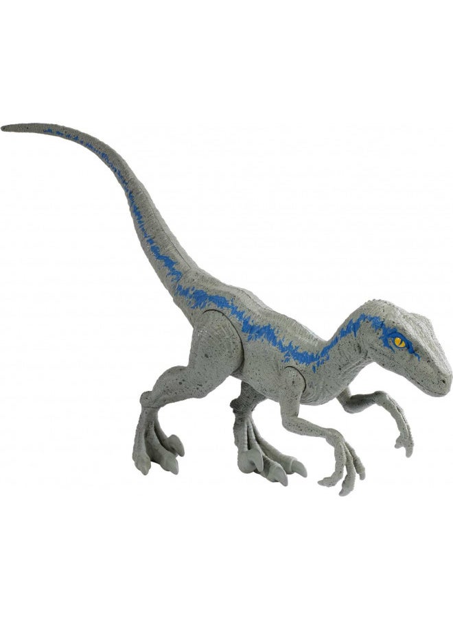 Mattel Jurassic World Toys Large Basic Velociraptor Blue