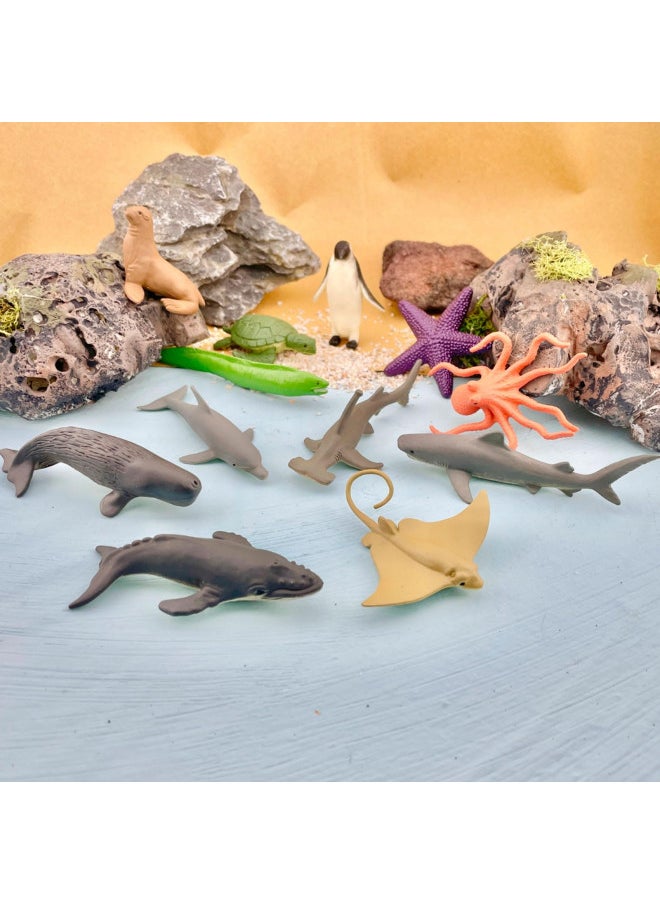 Safari Ltd Ocean TOOB Comes With 12 Different Hand Painted Animal Toy Figurine Models Including Sea Lion, Eagle Ray, Starfish, Turtle, Penguin, Octopus, Humpback Whale, Sperm Whale, Moray Eel, Hammerhead Shark, Tiger Shark, and Dolphin For Ages 5 and