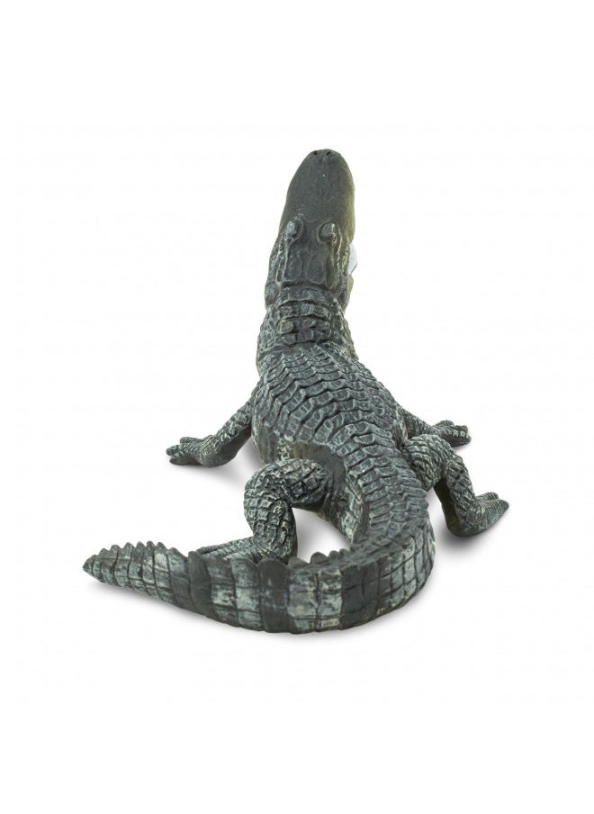 Safari Ltd. Wildlife Collection - Realistic Alligator Toy Figure - Non-Toxic and BPA Free - Ages 3 and Up